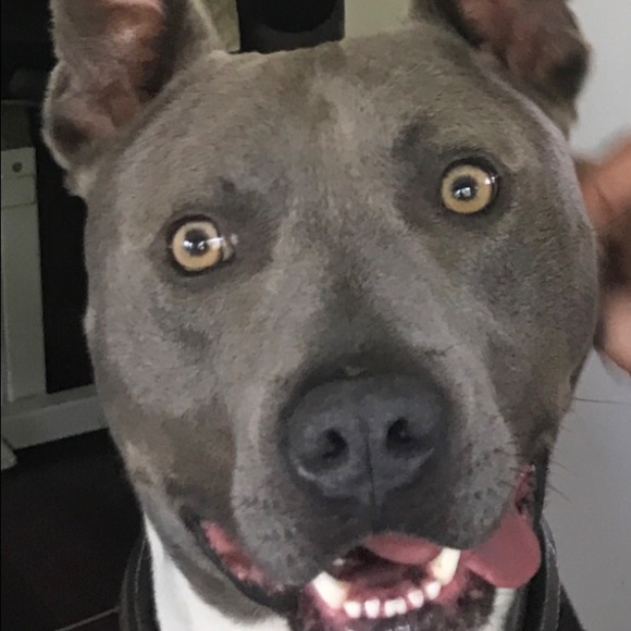 Meet your Posher, Lisa - Picture 1 of 1